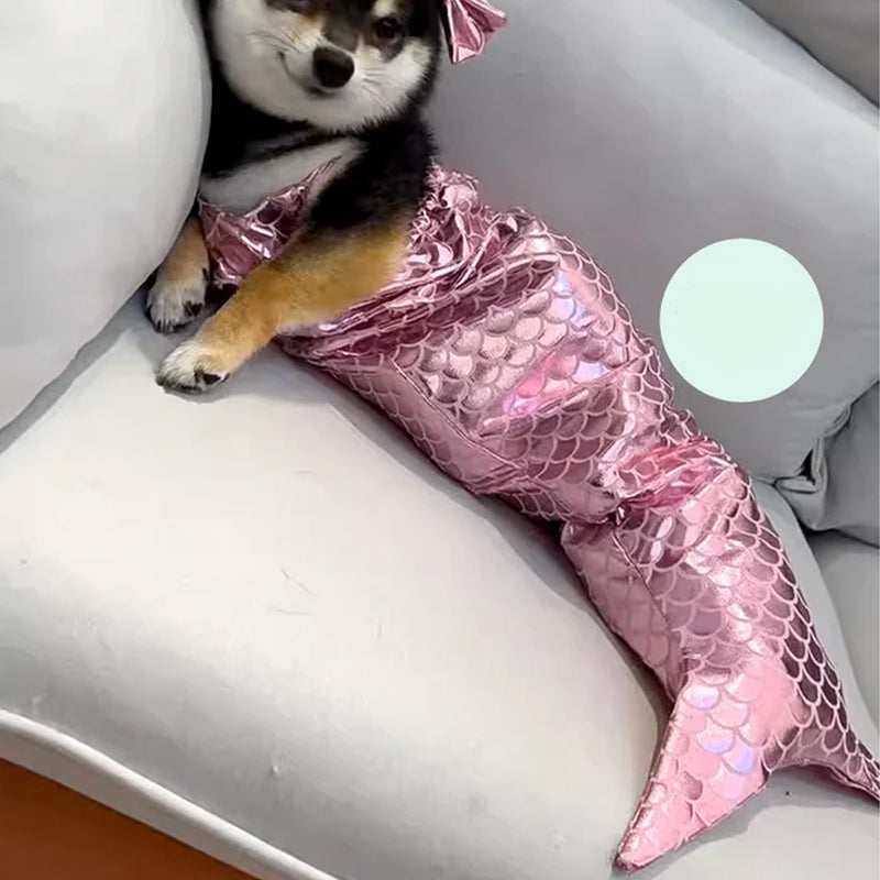 Funny Pet Mermaid Clothing