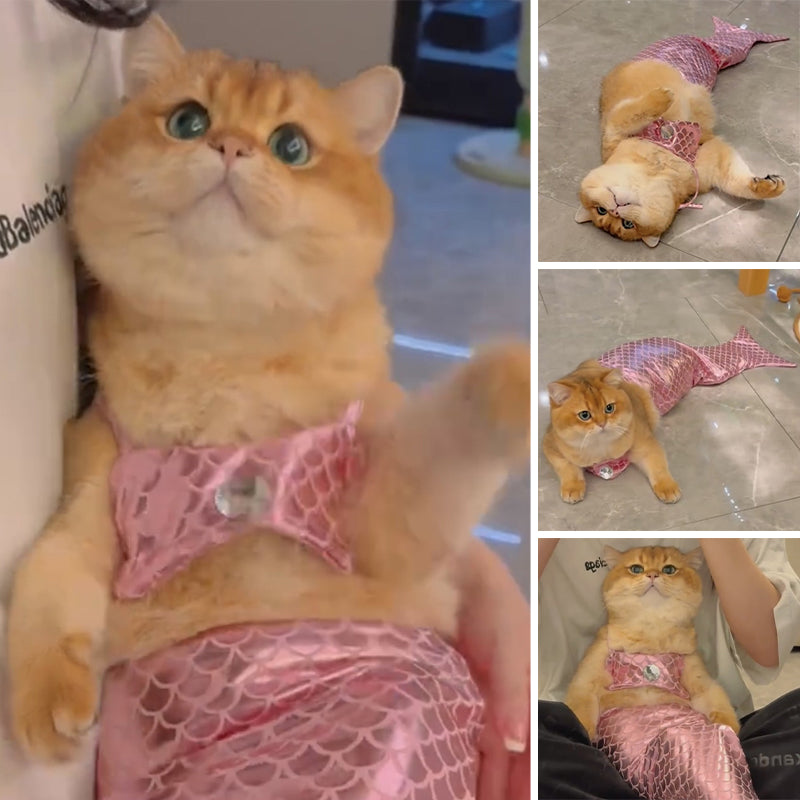 Funny Pet Mermaid Clothing