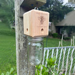 Best Carpenter Bee Trap