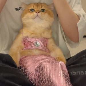 Funny Pet Mermaid Clothing