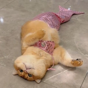 Funny Pet Mermaid Clothing