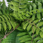 UV-resistant, lifelike artificial Boston fern