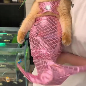 Funny Pet Mermaid Clothing