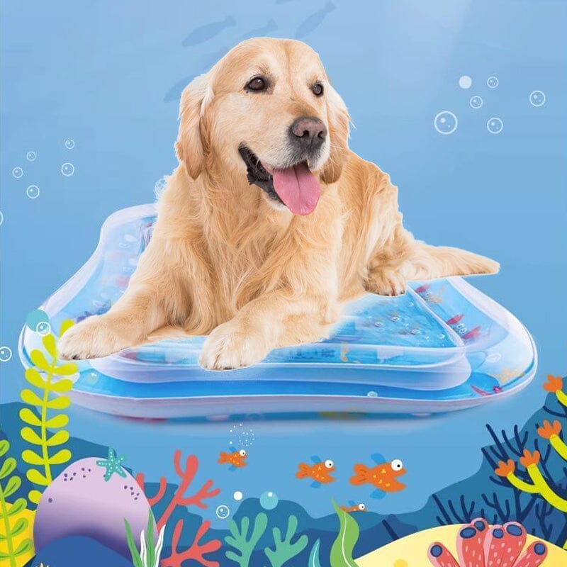 Pet Water Sensory Mat – yoyocats