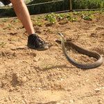 Snake Prank with String and Clip