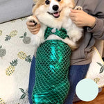 Funny Pet Mermaid Clothing