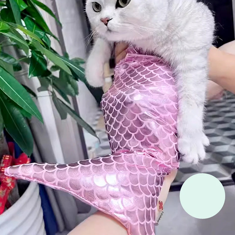 Funny Pet Mermaid Clothing