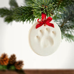 Clay Pet Paw Impression Moulding Kit