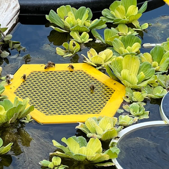 🐝 Floating Bee Island-Bee Waterer