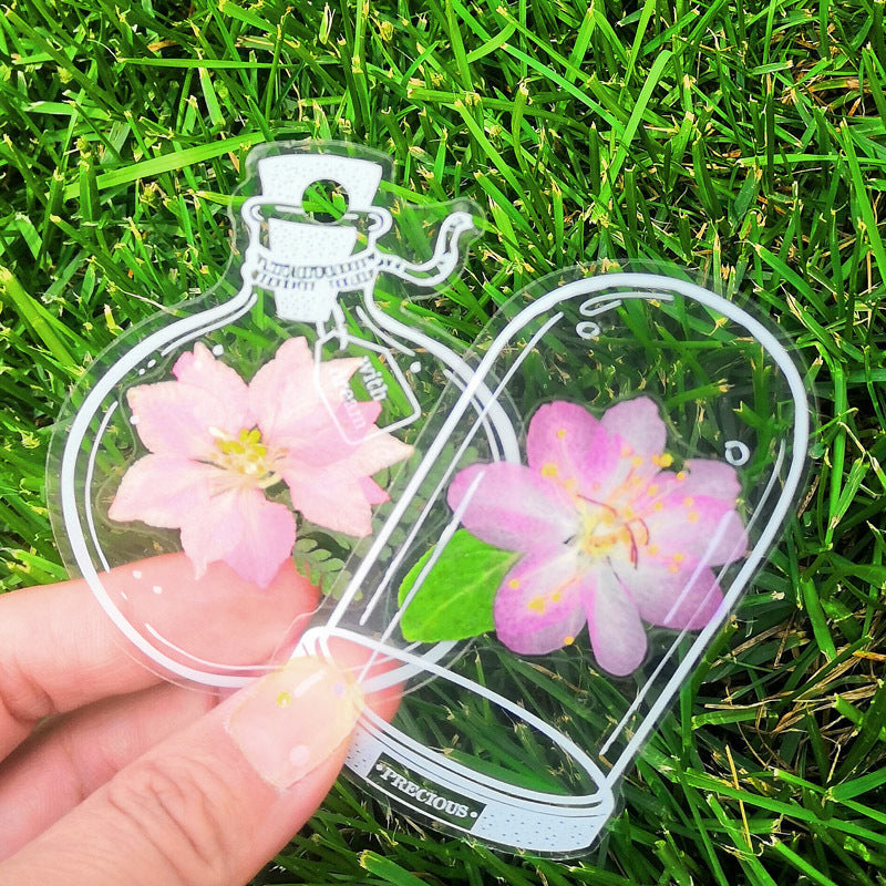 Transparent Dried Flower Bookmarks