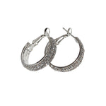 Sparkle Small Hoop Earrings